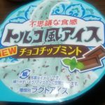 トルコ風アイス チョコチップミント(ファミリーマート)感想・レビュー