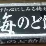 男梅 のど飴(ノーベル)感想・レビュー